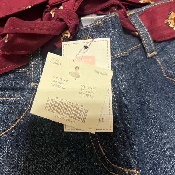 Janie and Jack Equestrian Jeans and silk Blouse.  HTF size 4 - Picture 2 of 4